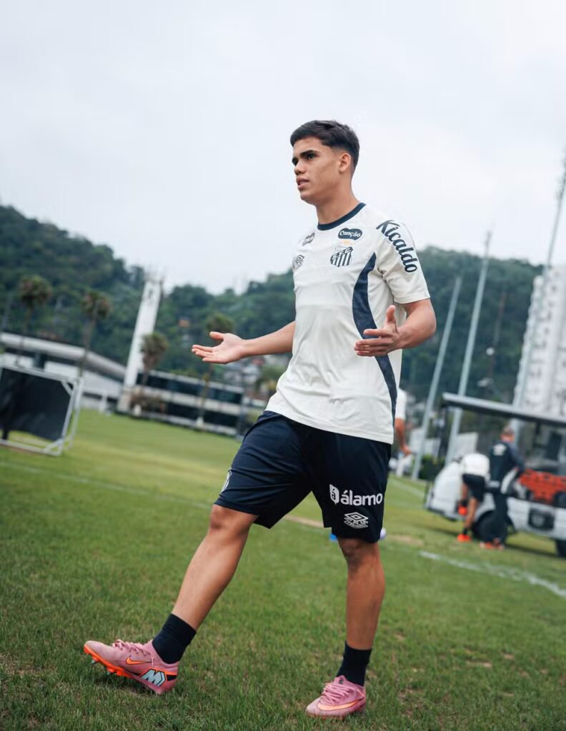 Foto: Raul Baretta/ Santos FC