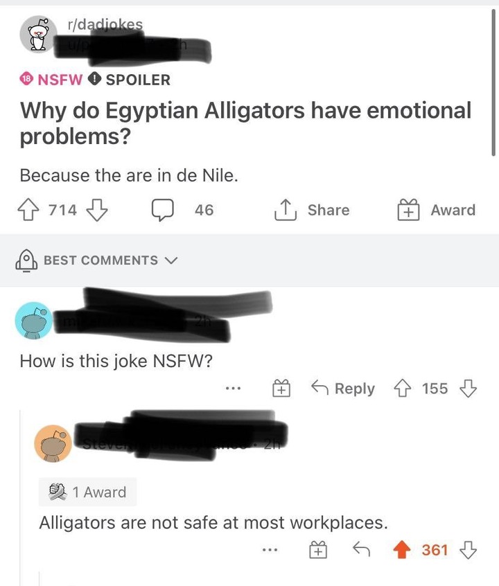 Someone tells a dad joke about alligators that&#x27;s labeled &quot;NSFW,&quot; and someone asks why it is NSFW, and someone says alligators are not safe at most workplaces