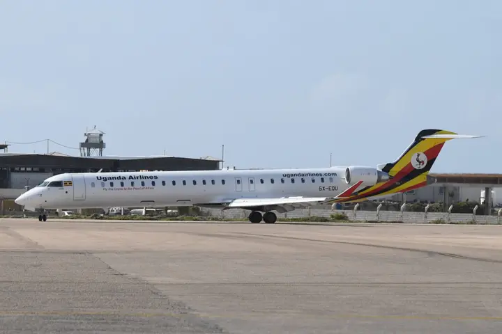 Ugandan man hawks grasshoppers inside plane enroute to Dubai