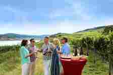 Sample wine-themed excursions with AmaWaterways