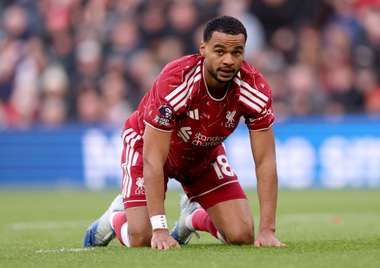 Liverpool v Brighton & Hove Albion - Premier League 2026/27