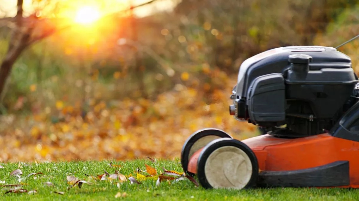 'I'm a gardening expert and these three tips will keep your lawn lush in winter'