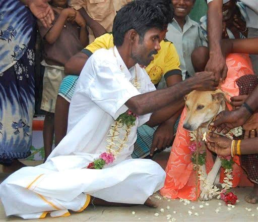 Meet this beautiful lady who happily married a dog (Photos)