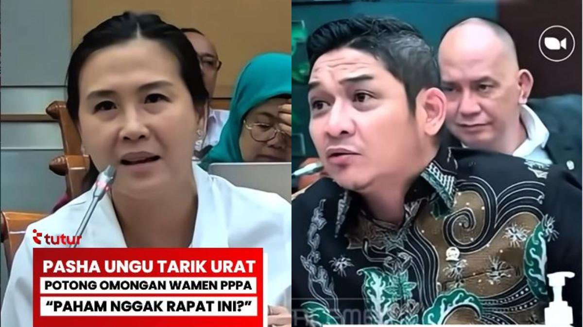 Pasha Ungu membandingkan peran Kementerian PPPA dengan lembaga lain yang memiliki fungsi serupa.