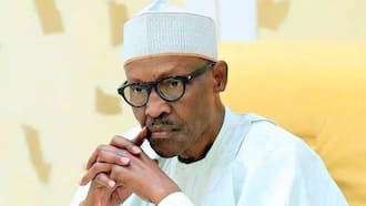 Muhammadu Buhari, Mohammed Lukman, APC, NWC, presidential successor, politics