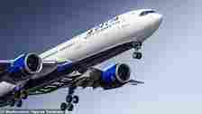 A Delta spokesperson told DailyMail.com its teams are probing the incident and have issued an apology to its costumers (stock photo)