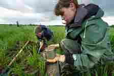 Close-up of soil scientists sampling soil in cylinders from an agricultural plot on a farm on a cloudy day