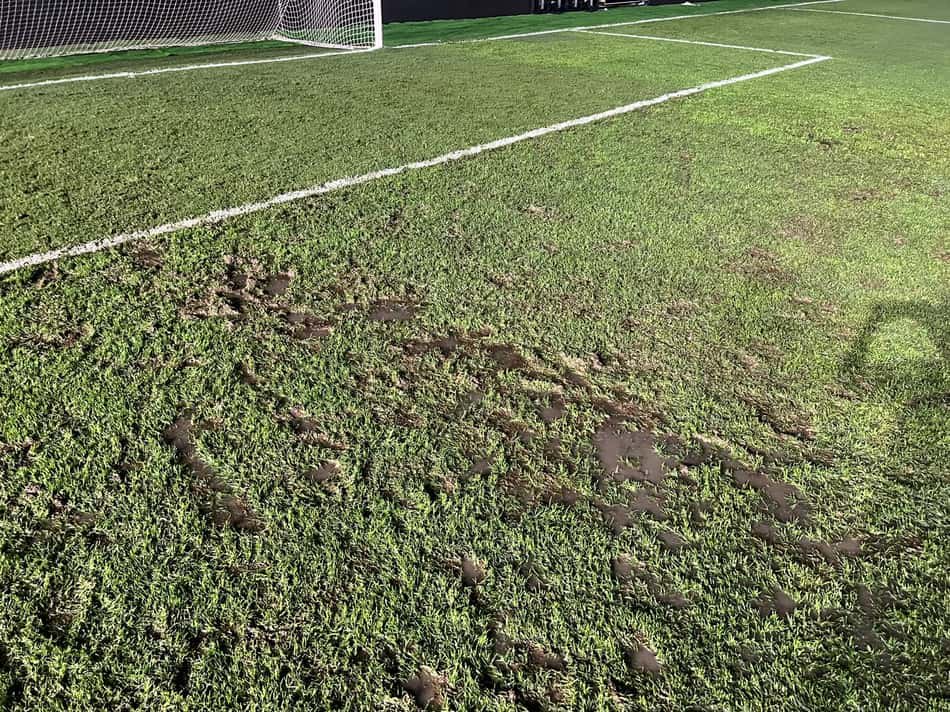 Vila Belmiro após a partida contra o Bahia, neste sábado (24) - (Foto: Vinícius Spada/ Lance!)