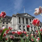 European markets head for higher open; BoE rate decision ahead