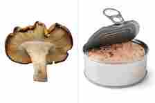A mushroom next to an open can of tuna