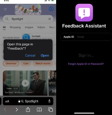 Feedback Assistant iPhone