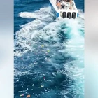 Boca Bash partier's parents issue apology after son caught dumping bins of trash into ocean