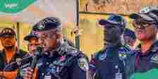 Daredevil Kidnappers Abduct 1,290 Nigerians, Details Emerge