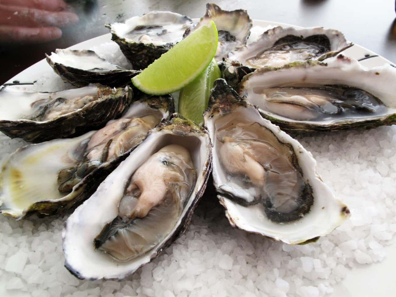 The Most Oysters Eaten in Three Minutes