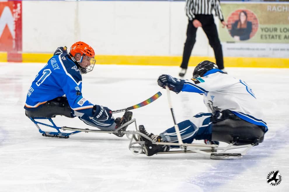 Sheffield Steelkings