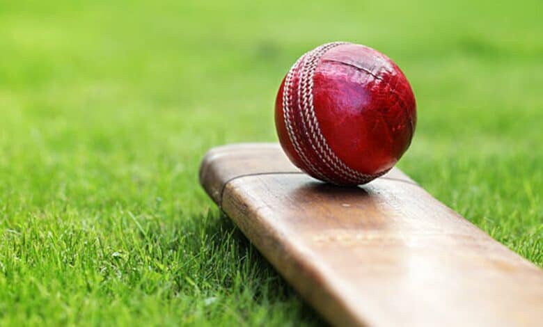 Cricket ball resting on a cricket bat on green grass of cricket pitch
