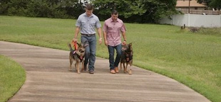 Retired military dogs reunite with their former Marine Corps handlers after years apart