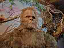 A closeup of a large Bigfoot figure, taken at the Bigfoot Crossroads of America Museum.