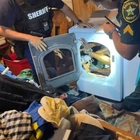 Florida man on the run from police for 2 months found hiding in clothes dryer: 'Tumble-ready'