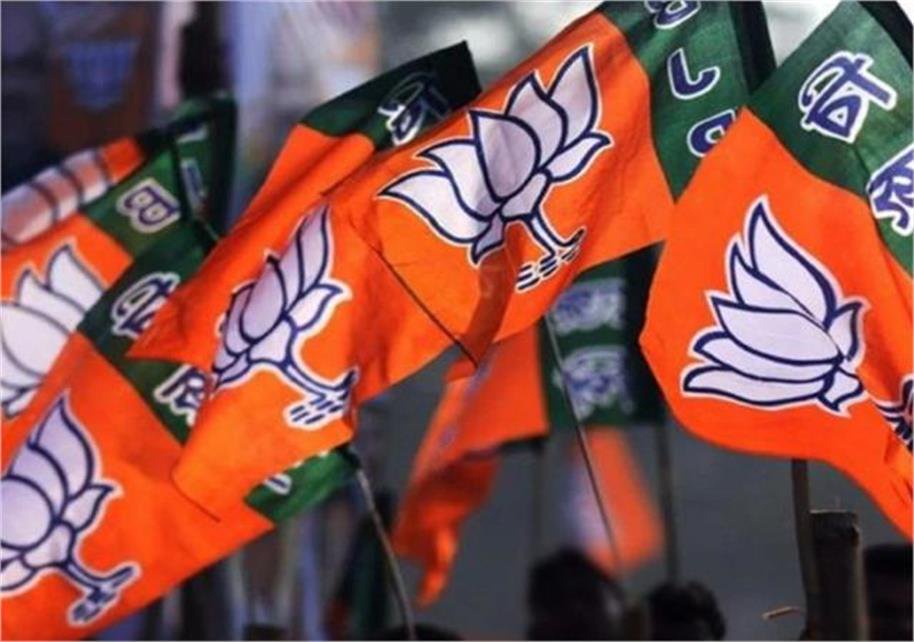 mp bjp appoints new yuva morcha presidents in 19 districts