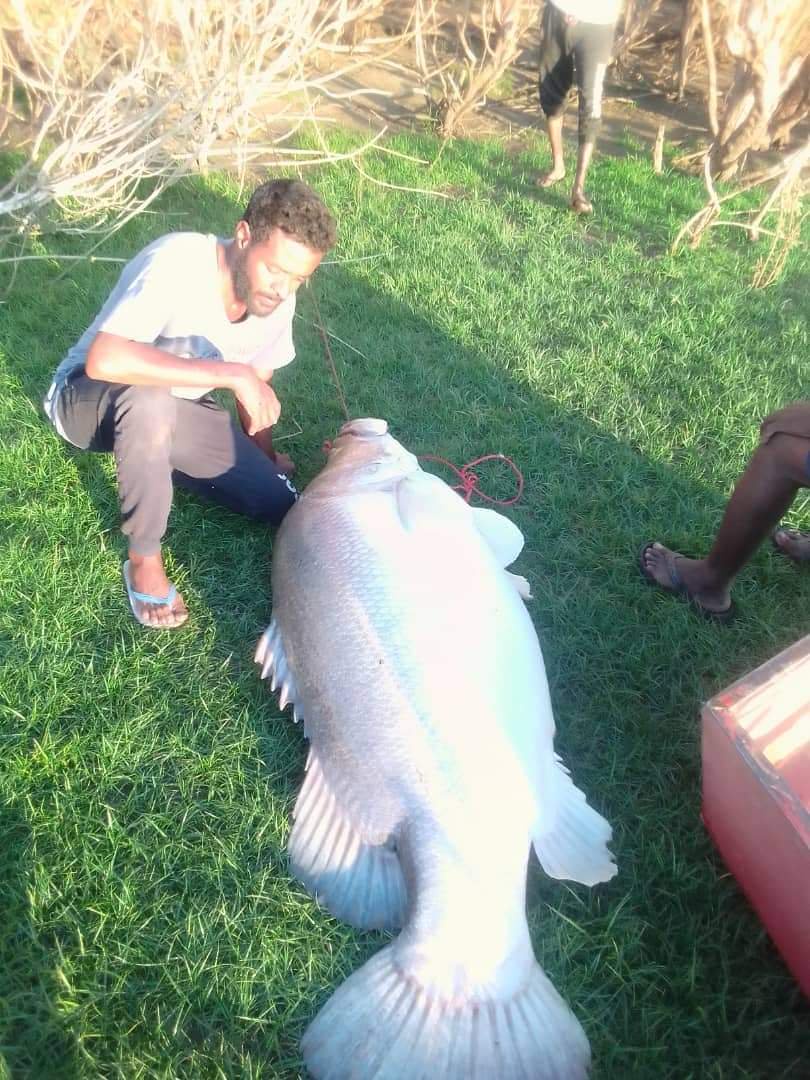 461b4c652b26d1cc10998ff92546c8d3?source=nlp&quality=hq&format=webp&resize=720