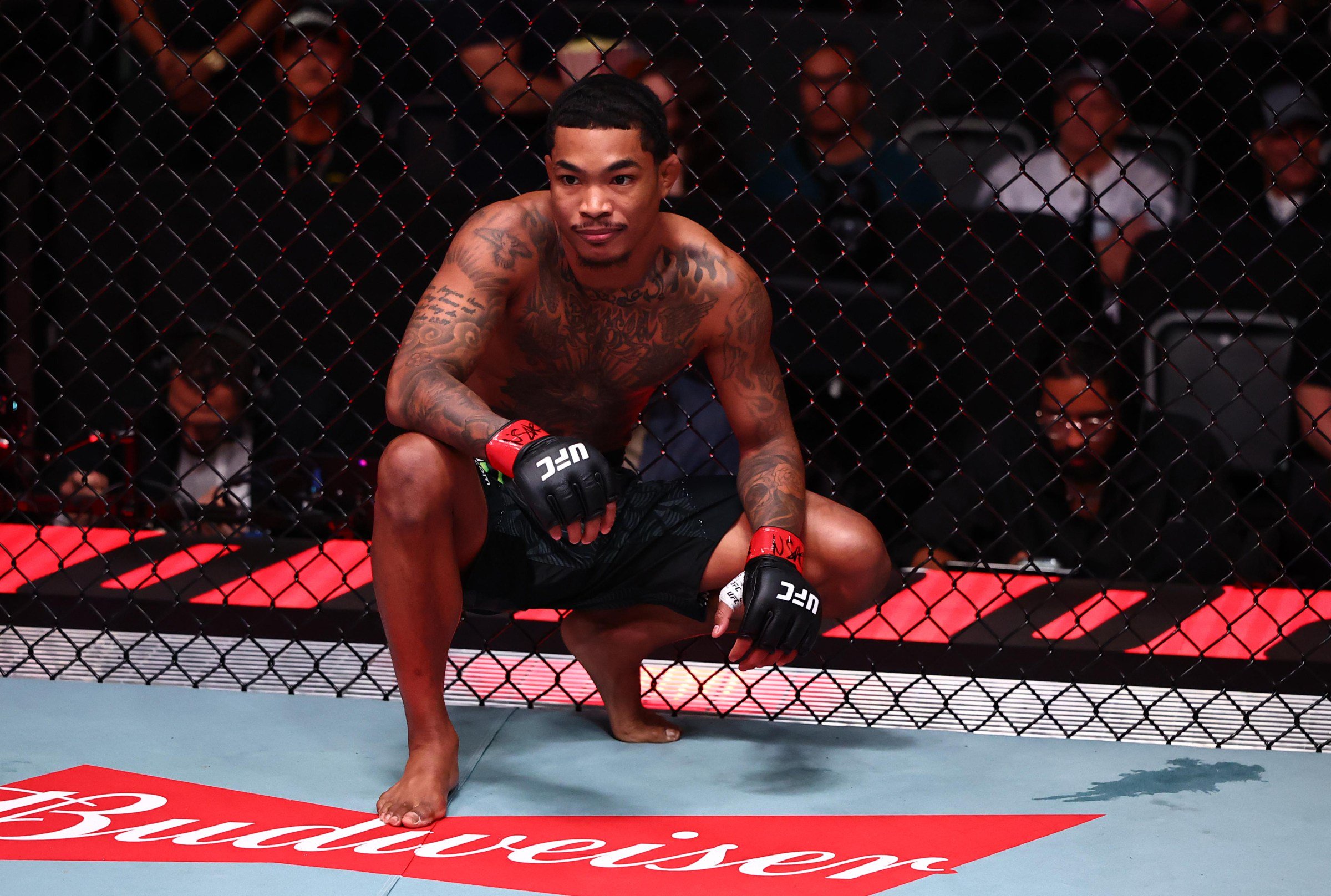 UFC Fight Night: Wellmaker v Tanzilovi