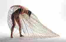 "Moving Meshes" was a collaboration between dancer Marcela Giesche and Maria Blaisse, who...