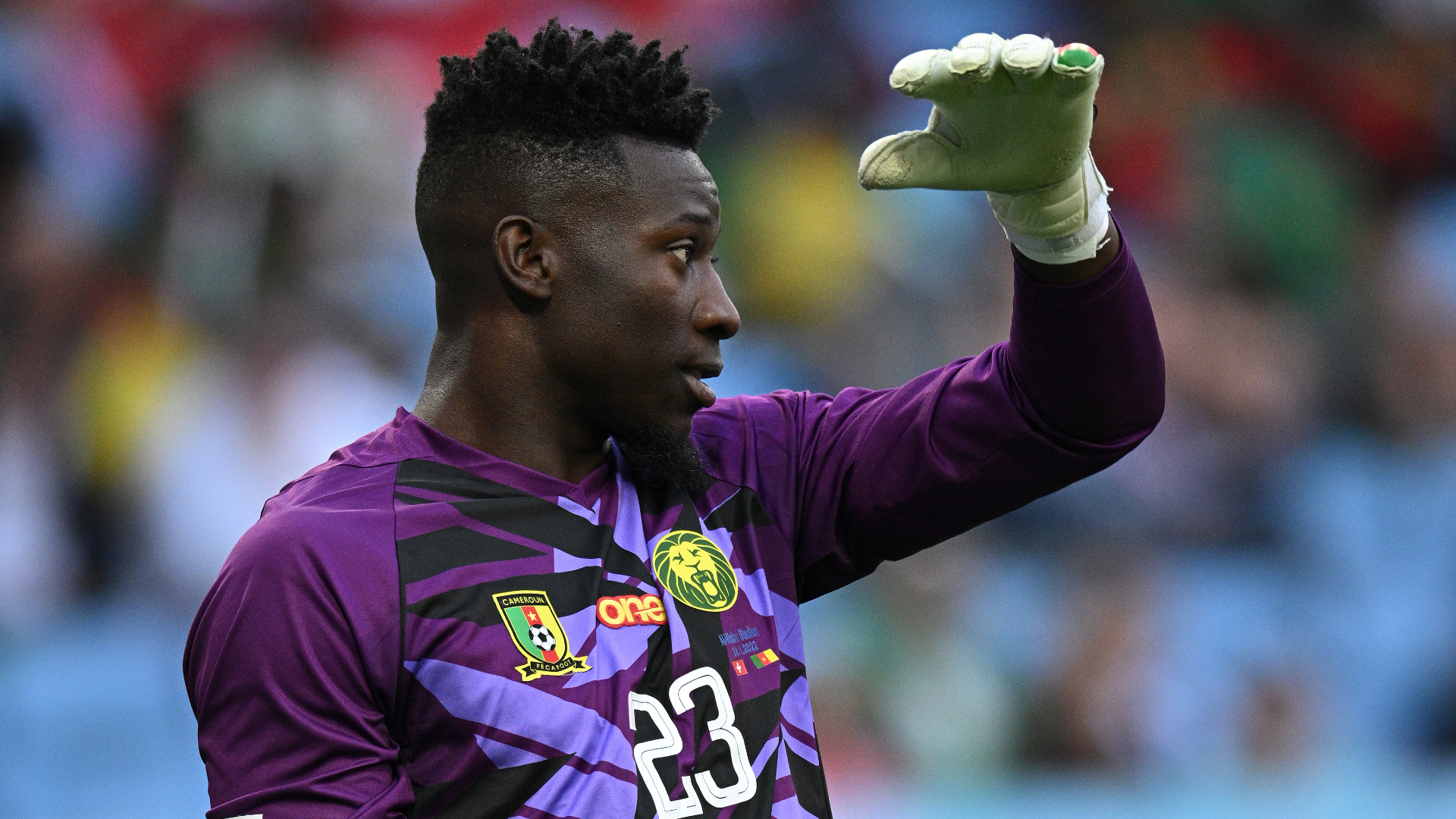 Andre Onana Cameroon 2022 World Cup