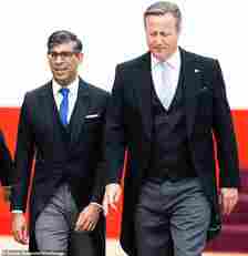 David Cameron, pictured with Rishi Sunak at the recent ceremonial welcome of Japan's Emperor Naruhito, claimed Sir Keir Starmer will 'weaken Britain's defences'