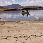 Texas farming crisis looms as US, Mexico spar over long-standing water treaty