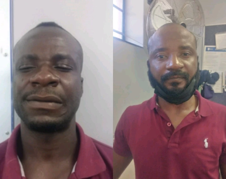 2 Nigerian Illegal Foreigner Arrested By HAWKS After Doing The Unthinkable, See What They Did
