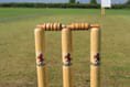 Somerset League third division cricket