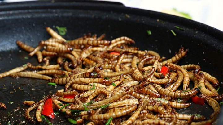Edible mealworms [Foodsafetymagazine]