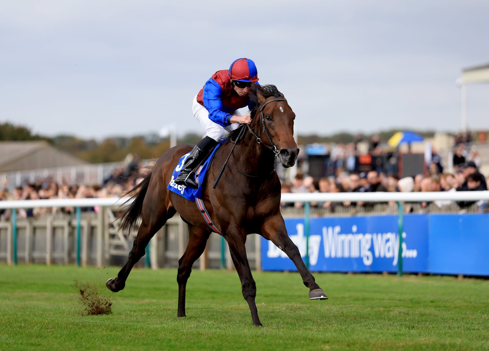 Ryan Moore is set to ride the impressive Zetland Stakes winner Drumbeat at Saint-Cloud on Sunday. Photograph: PA 