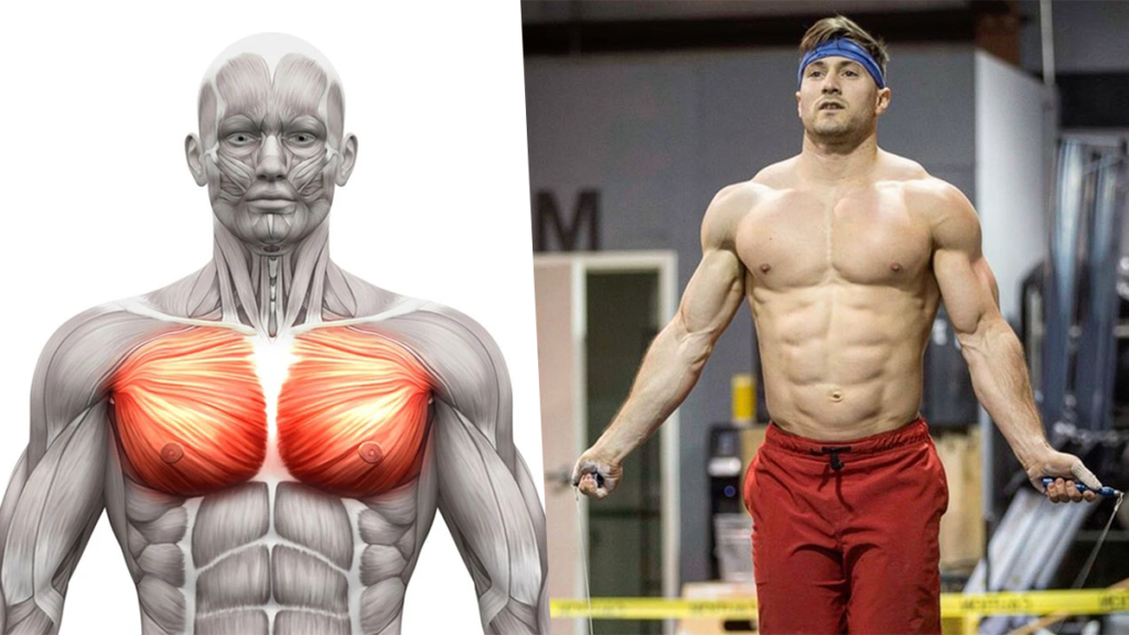 Chest-Workouts-athletes Perfect Chest Workout in Only 20 Minutes 10 Minute Home Chest Workout Dumbbell Exercises for Chest Workouts