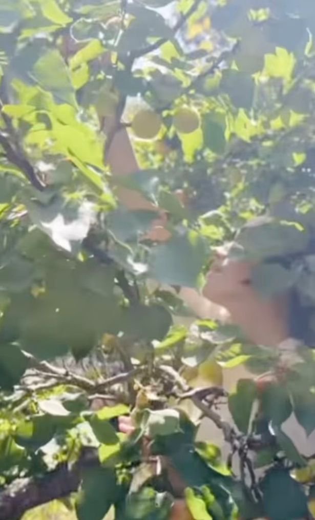 Meghan picks fruit from the garden