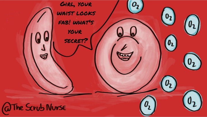 hematology & oncology - The Scrub Nurse
