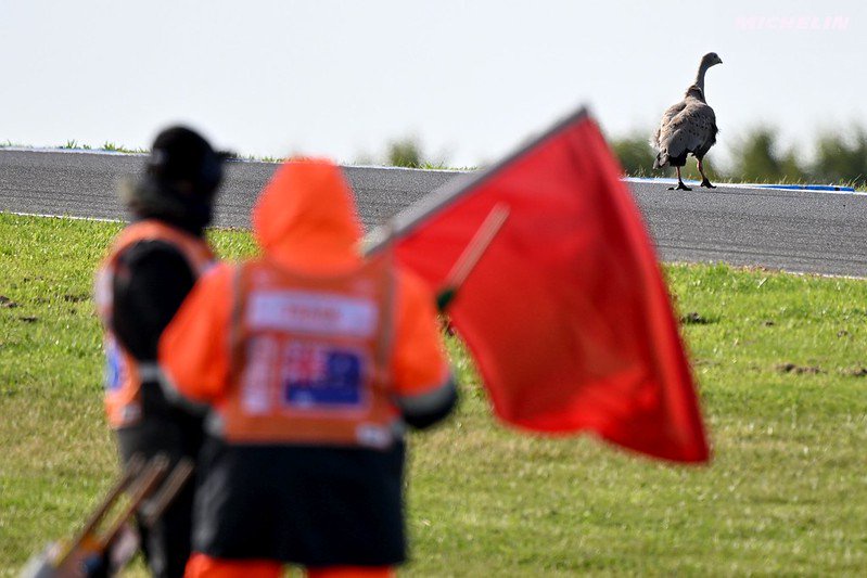 Phillip Island