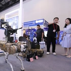 Chinese military AI in focus as lawmaker sounds alarm on threat from rifle-wielding 'robot-dogs'