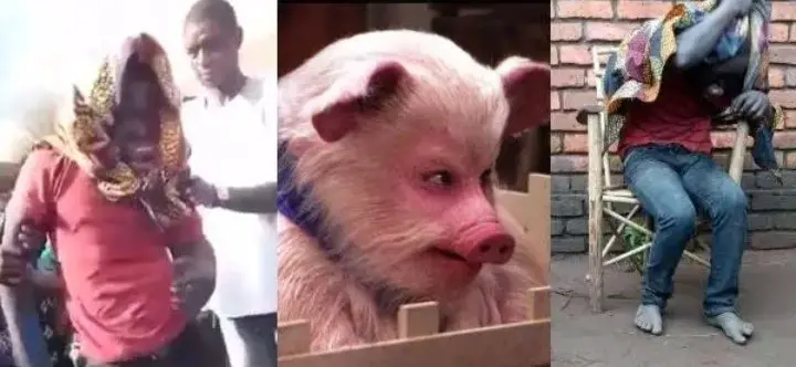 Man Turns Into Pig After Stealing Pig In Malawi (Video)