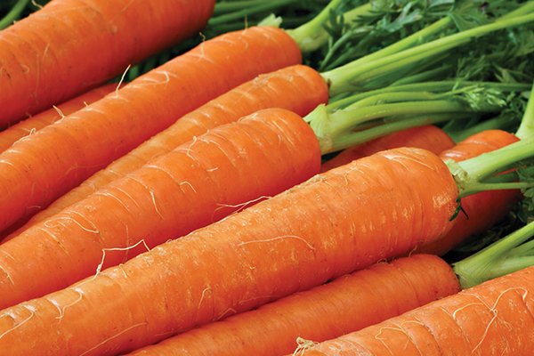 you can regrow carrots from kitchen scraps