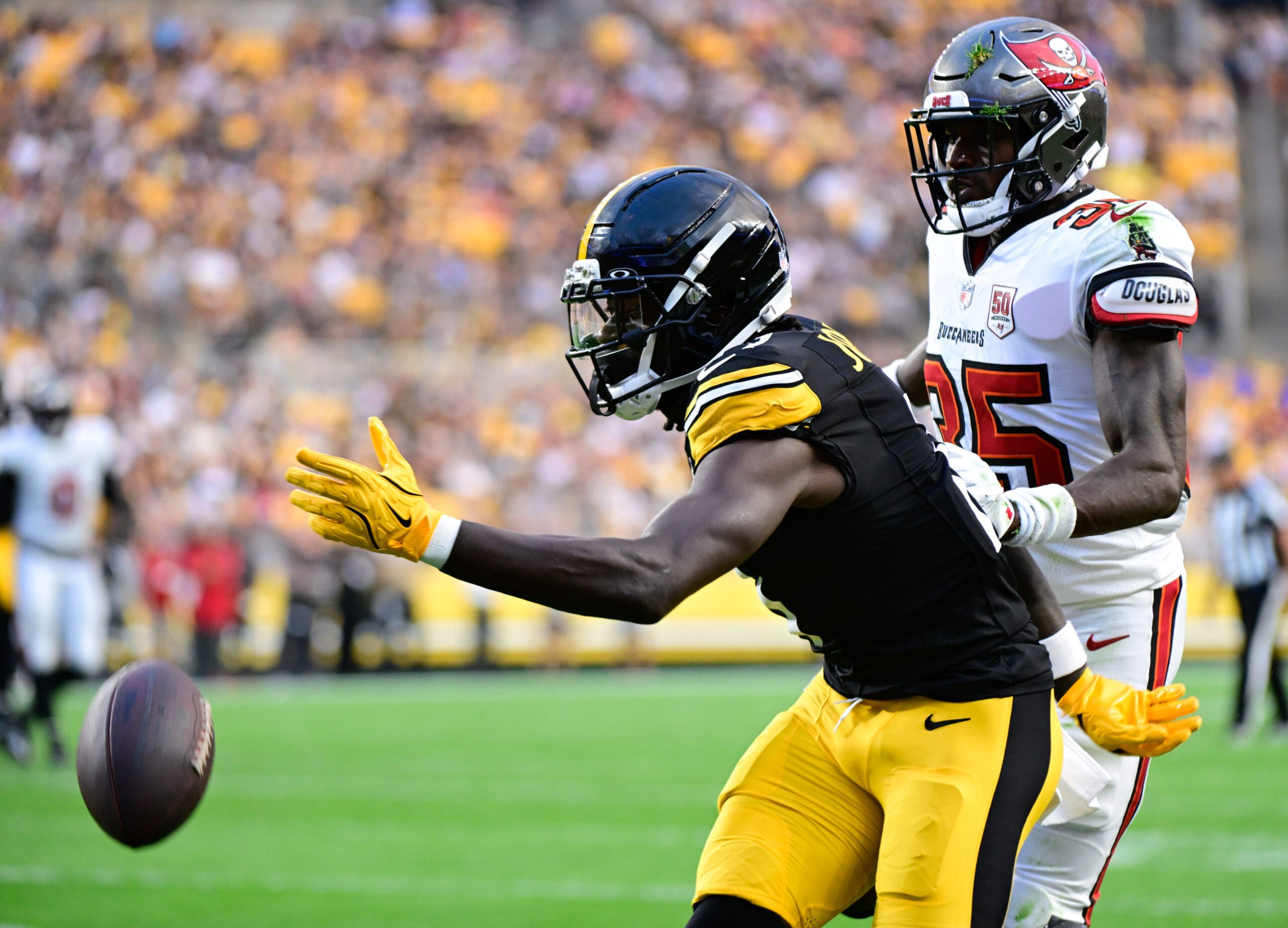 Pittsburgh Steelers Brandon Johnson