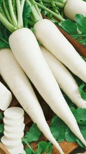 Radish