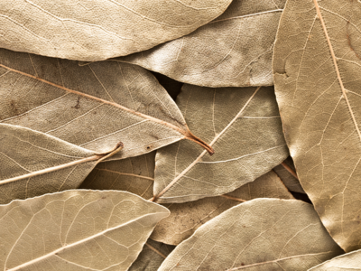 ​Preventing and reducing inflammation