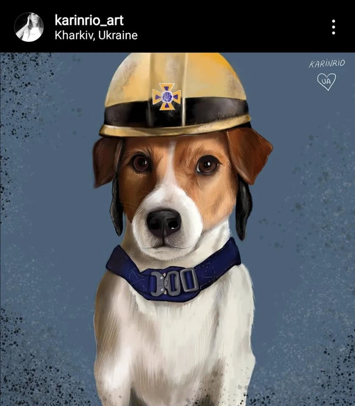 May be an illustration of dog and text that says 'karinrio_art Kharkiv, Ukraine KARINRIO UA'