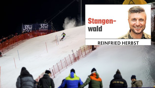 „Krone“-Kolumnist Reinfried Herbst.