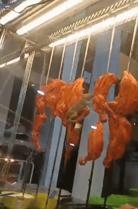 4ce51e45c7047f859d98c0ed31fe7225