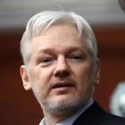Australian lawmakers send letter urging Biden to drop case against Julian Assange on World Press Freedom Day