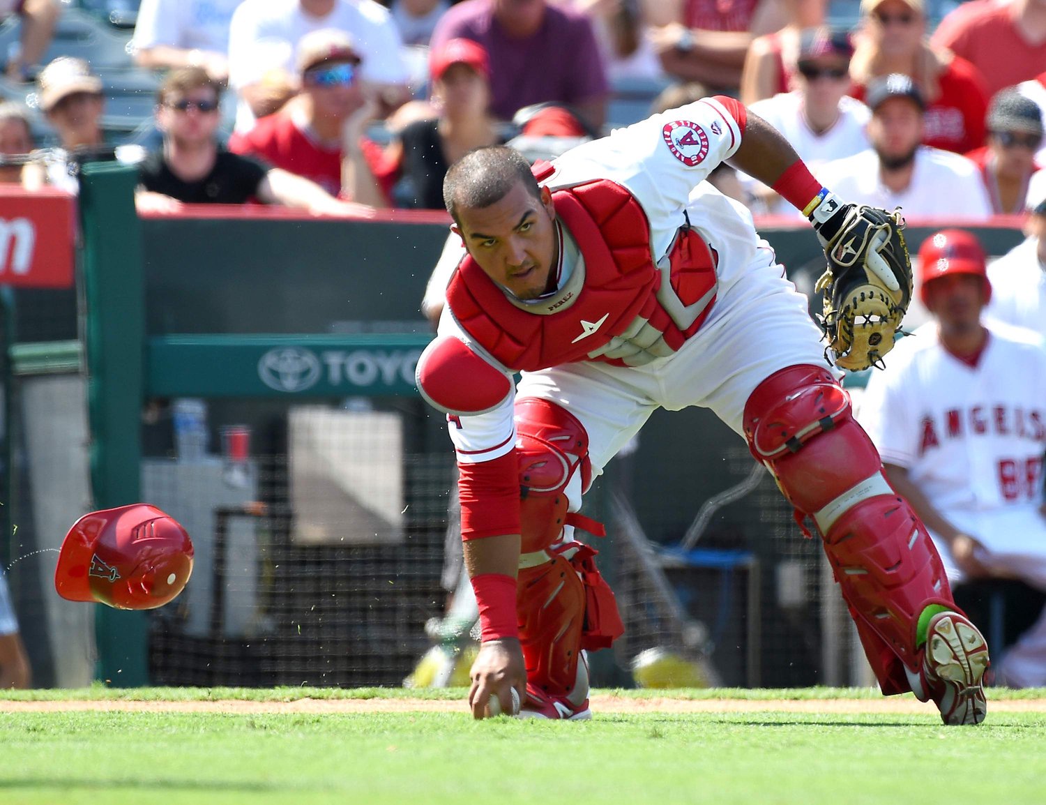 New York Yankees v Los Angeles Angels of Anaheim