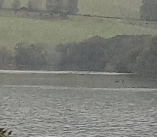 The Loch Ness Center said the latest sighting and photos of John could be the 'clearest evidence' that Nessie exists.